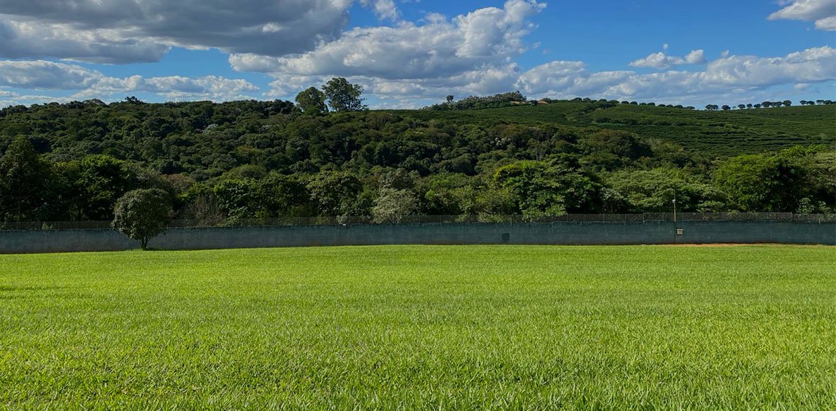 TERRENO BARONEZA