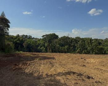 TERRENO FAZENDA VILA REAL 